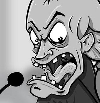 The Polititian